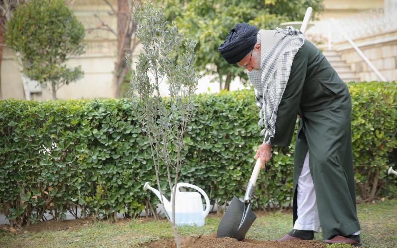 वृक्षारोपण दिवस और प्राकृतिक संसाधन सप्ताह के मौक़े पर इस्लामी इंक़ेलाब के नेता ने पौधे लगाए